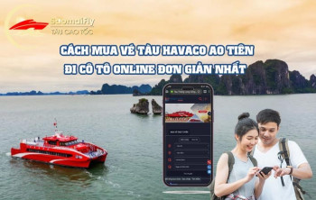 CÁCH MUA VÉ TÀU HAVACO AO TIÊN ĐI CÔ TÔ ONLINE ĐƠN GIẢN NHẤT