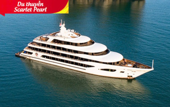 Du Thuyền Scarlet Pearl  5 Sao Trên Vịnh Lan Hạ