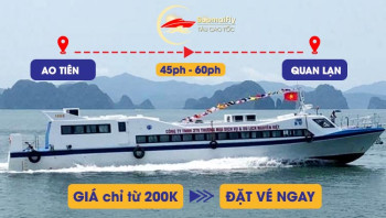 Tàu Nguyên Việt