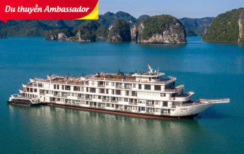 [2025] Du Thuyền Ambassador 2 Ngày 1 Đêm Hạ Long