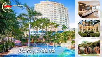 Top 10 Khách Sạn Cô Tô 2026: View Biển Chill, Giá Hợp Lý