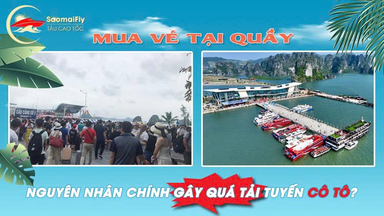 Mua vé tại quầy: Nguyên nhân chính gây quá tải tuyến Cô Tô?  